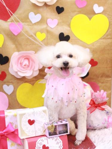 20230225心音ちゃん